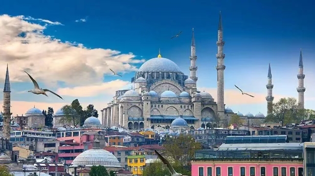 从海关数据看，土耳其进口中国最多的产品有哪些？