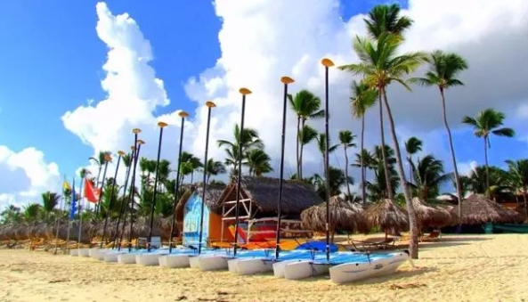 多米尼加海关数据查询平台（附免费试用查询名额）