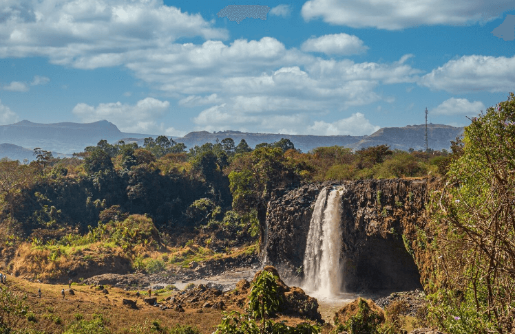 埃塞俄比亚进口产品(1) 埃塞俄比亚进口产品(1)